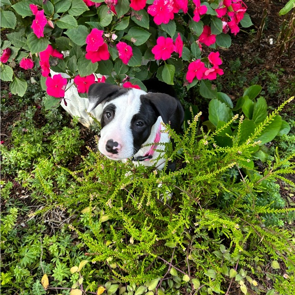 💗💖🌸IM LIVE‼️❤️💃
  Like to be notified plz :) - Picture 8 of 11